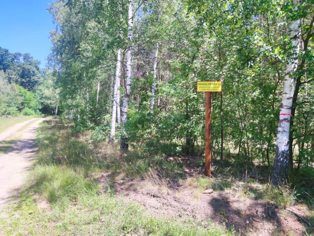 521212290_122173712000347667_7805871748950570864_n-1024x768 🦉 Cisza dla natury – Nadleśnictwo Dwukoły chroni najrzadsze ptaki w Polsce 🌲🦅