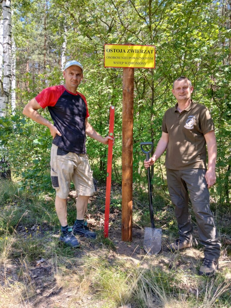 524071910_122173711748347667_3179843164332483400_n-768x1024 🦉 Cisza dla natury – Nadleśnictwo Dwukoły chroni najrzadsze ptaki w Polsce 🌲🦅