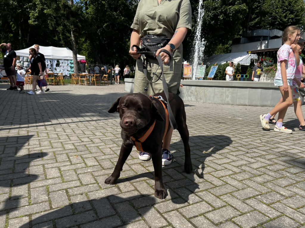 529821597_122129656010817720_5783345152681414091_n-1024x768 🐾 Mława pokochała „Psiknik”! Pierwsza edycja wydarzenia za nami 🐶🎉