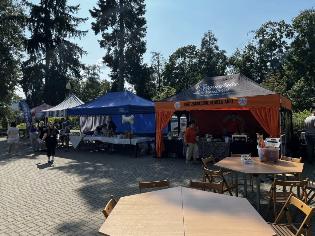 530193032_122129644718817720_633425323253677379_n-1024x768 🐾 Mława pokochała „Psiknik”! Pierwsza edycja wydarzenia za nami 🐶🎉