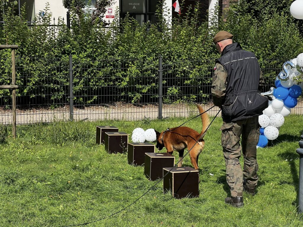 530663224_122129767070817720_793884585012729598_n-1024x768 🐾 Mława pokochała „Psiknik”! Pierwsza edycja wydarzenia za nami 🐶🎉
